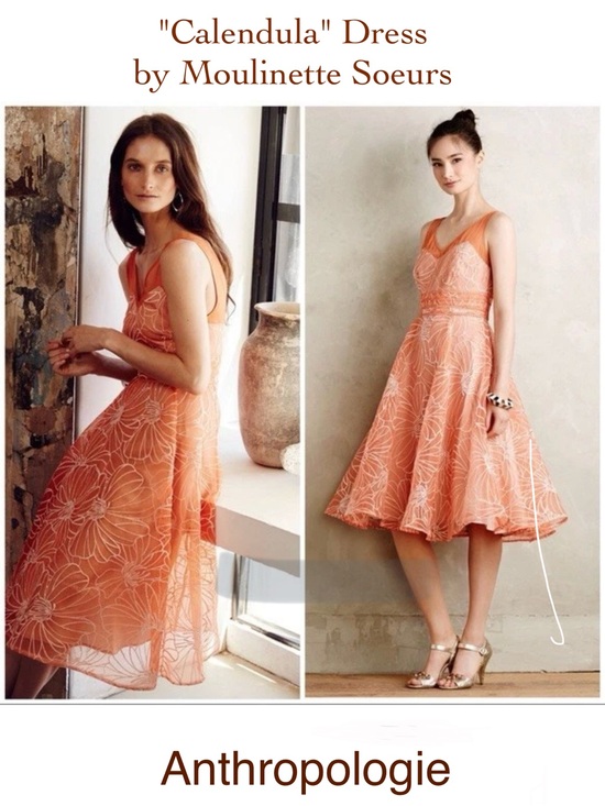 Anthropologie Dresses & Skirts - Anthropologie Moulinette Soeurs Calendula Orange Embroidered Organza Dress 4
